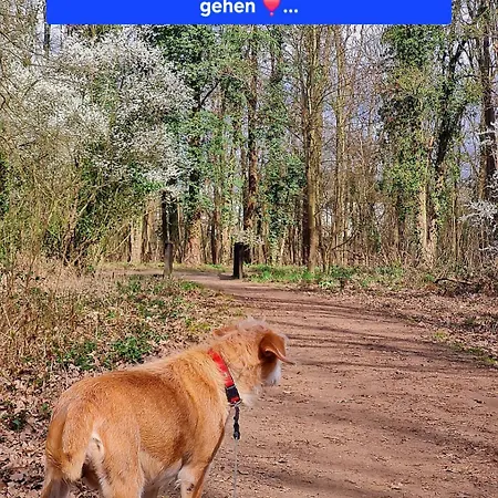 Reuterhof 2* Darmstadt