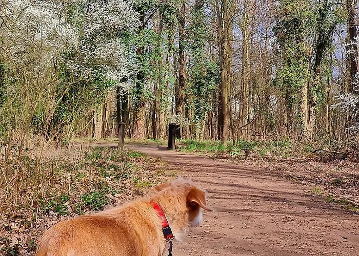 Reuterhof 2* Darmstadt